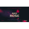 Red Rose Pro